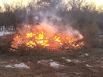 Brush pile fire